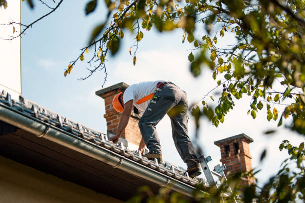 Roof Waterproofing Services in Mckees Rocks, PA