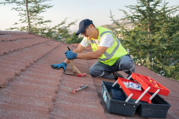 Best Roof Leak Repair  in Mckees Rocks, PA